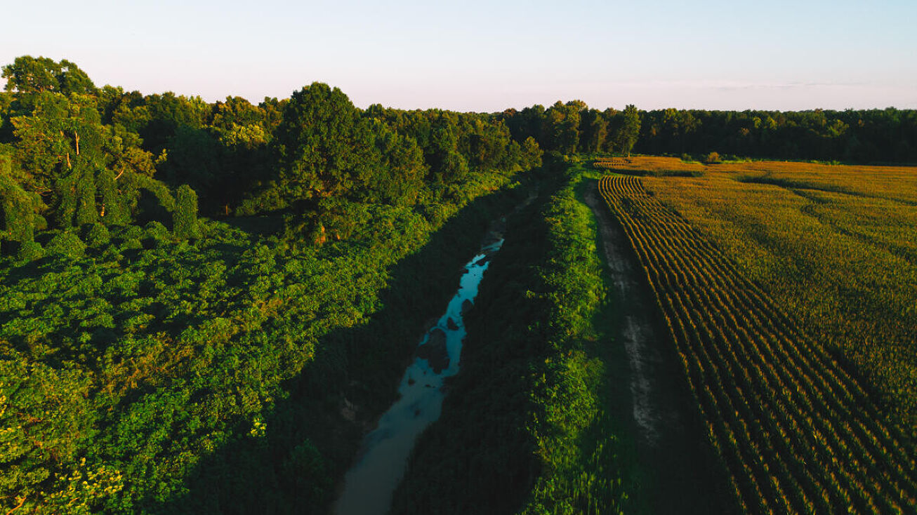 Co Rd 314, Big Creek, MS 38914
