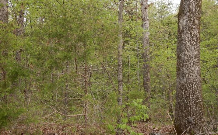 Pictures of Land property located at 0 11.58 Acres Off Hwy O, Marthasville, MO 63357 for sales - image #1