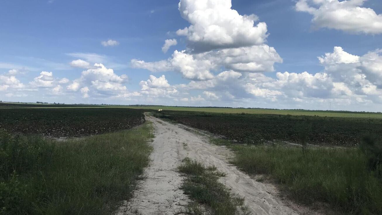 Chauncey Rhine Hwy, Rhine, GA 31077