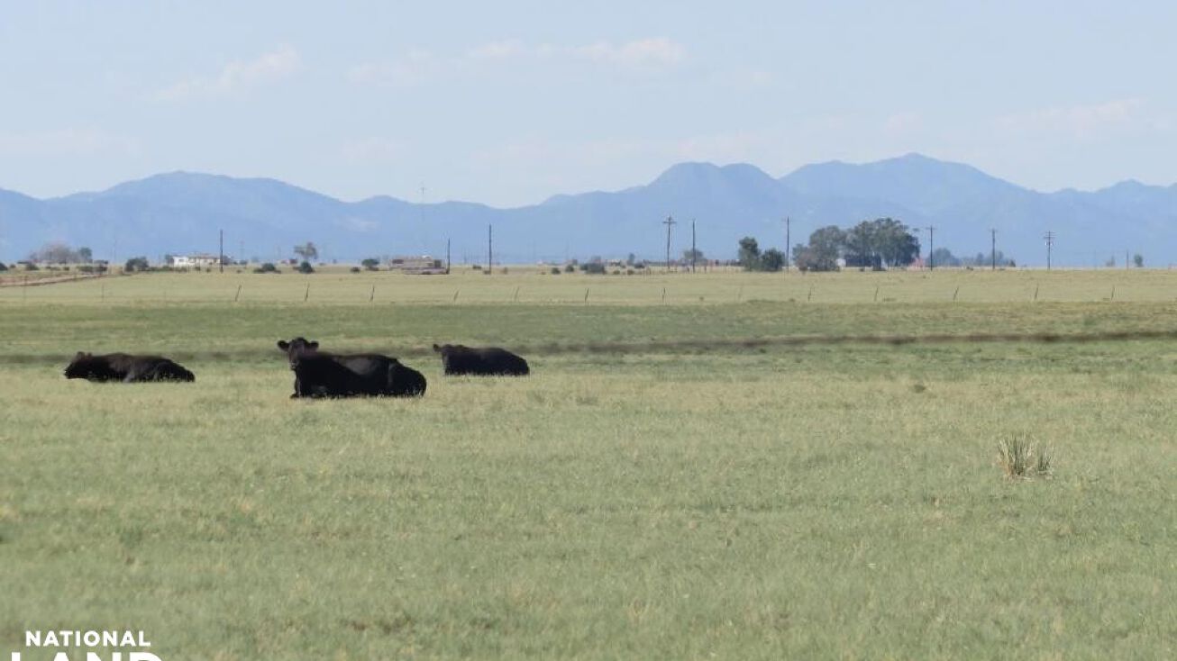 NM41, Tajique, NM 87016