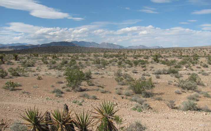 Pictures of Land property located at W Gomer Rd, Enterprise, NV 89124 for sales - image #1