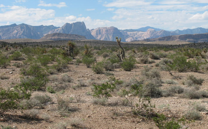 Pictures of Land property located at W Gomer Rd, Enterprise, NV 89124 for sales - image #1
