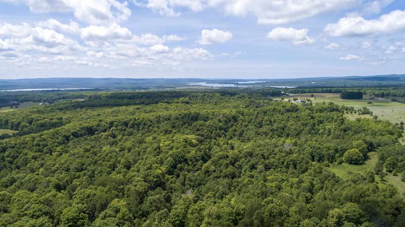 8567 Littlefield Ln, Alanson, MI 49706 Land for Sale 8567