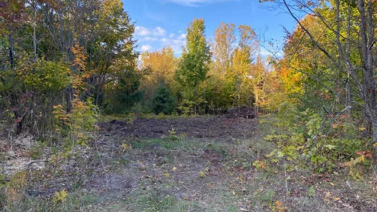 8803 Chickadee Lane, Alanson, MI 49706