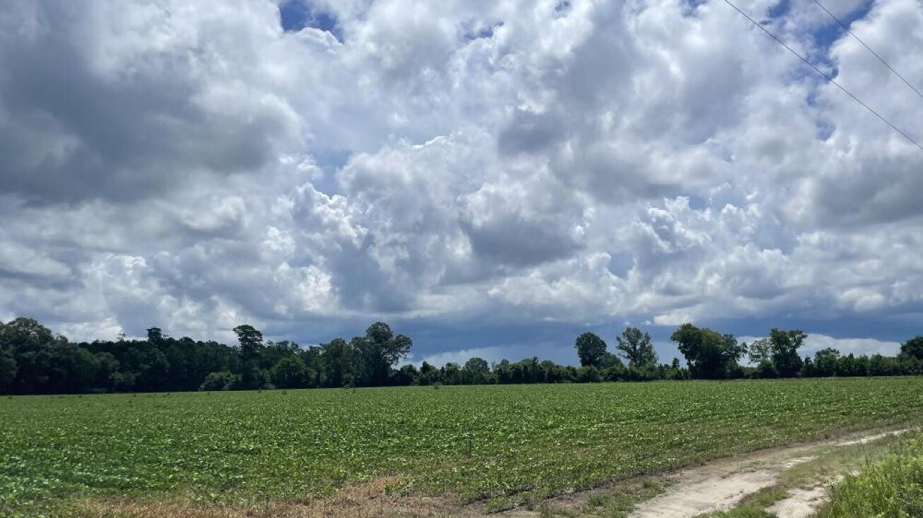 Cooper Store Rd, Moncks Corner, SC 29461