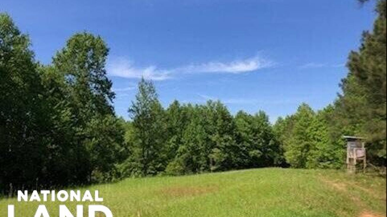 9605 Weller Sumpter Rd, Adger, AL 35006