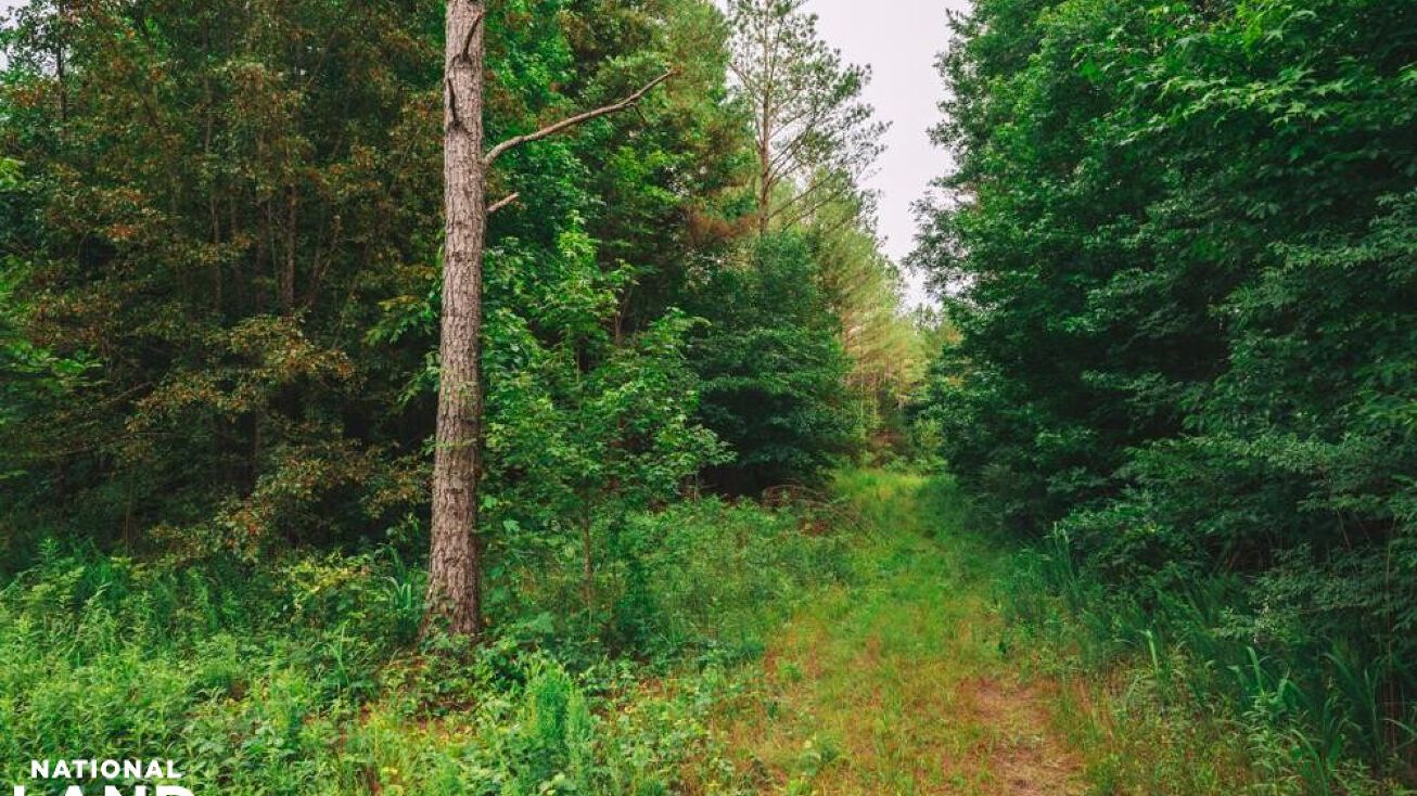 Redland Sarepta Rd, Pontotoc County, MS 38820 Land for Sale Redland