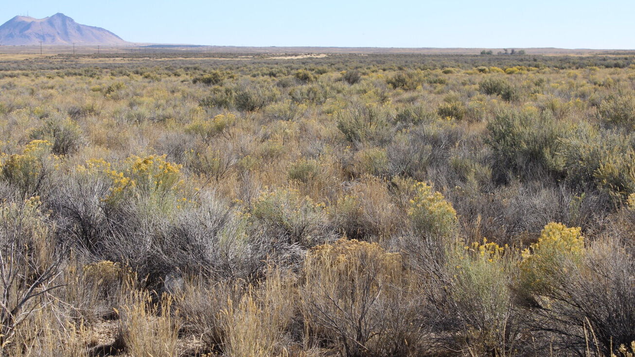 Main Rd to Hwy 26, Blackfoot, ID 83221 Land for Sale Rural Acreage