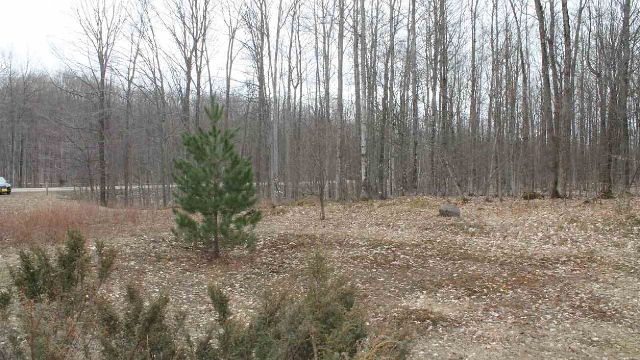 TBD Pleasantview Rd, Harbor Point, MI 49740