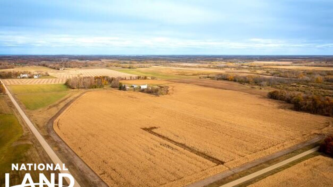 0 Otter Tail Line Rd/430th St, Bertha, MN 56437