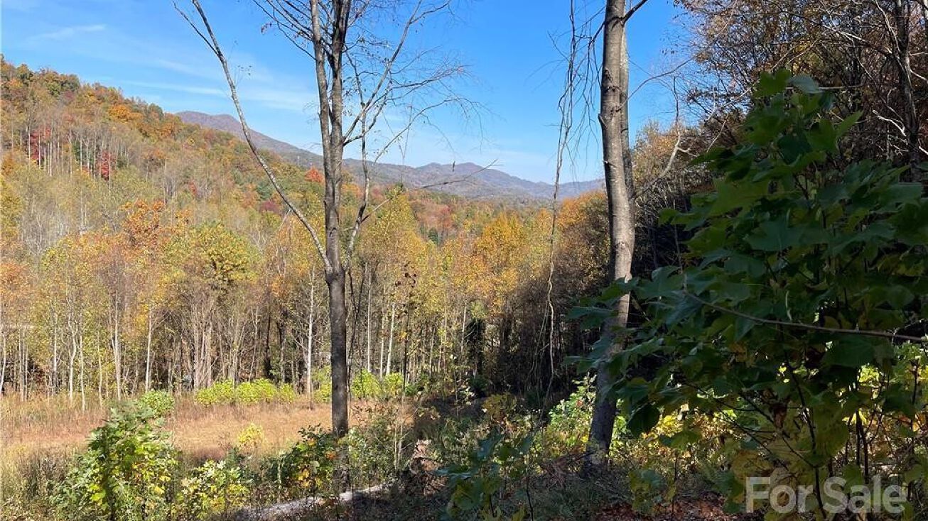 TBD Cove Road, Candler, NC 28715 Land for Sale TBD