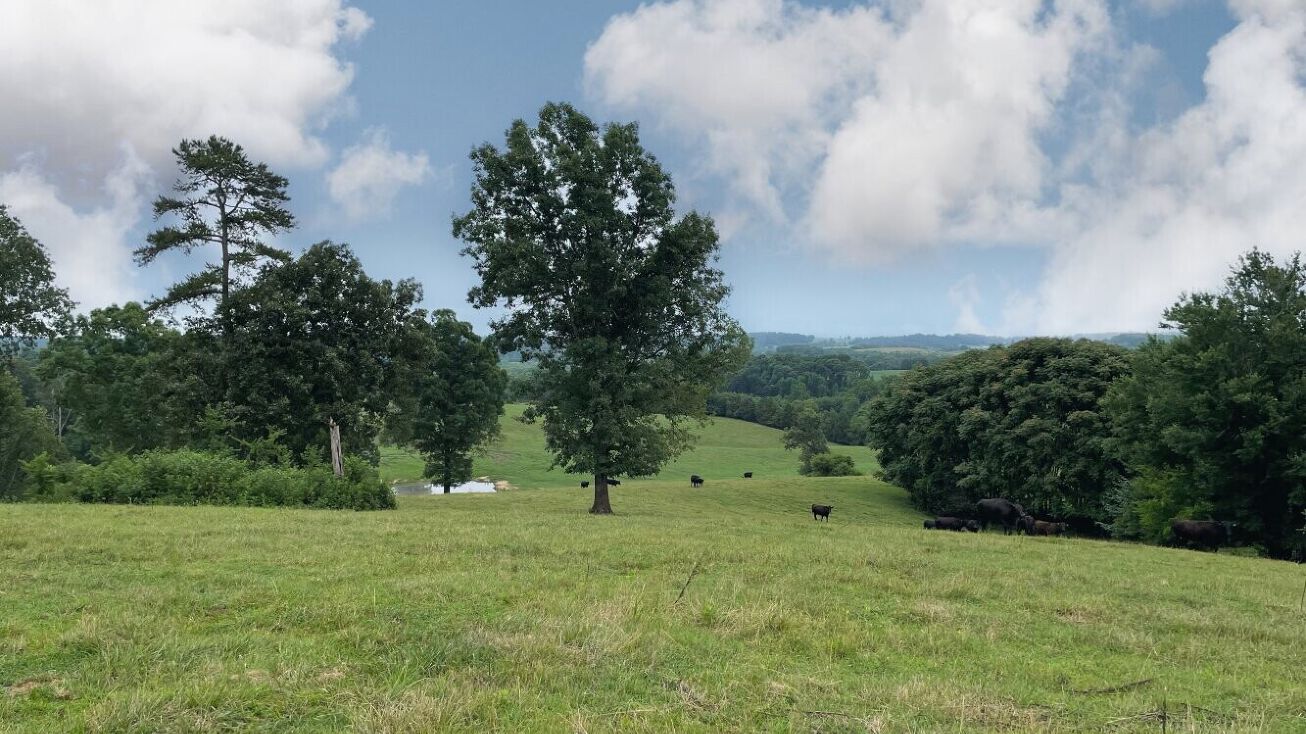 30158 Pond Creek Rd, Philadelphia, TN 37846