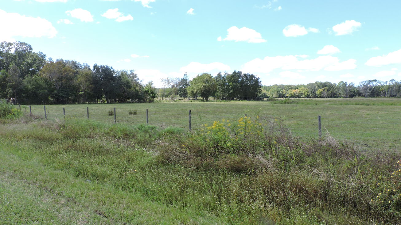 1025 Hwy 17, Palatka, FL 32177 - Land for Sale - King 20 Acres Parcel 2