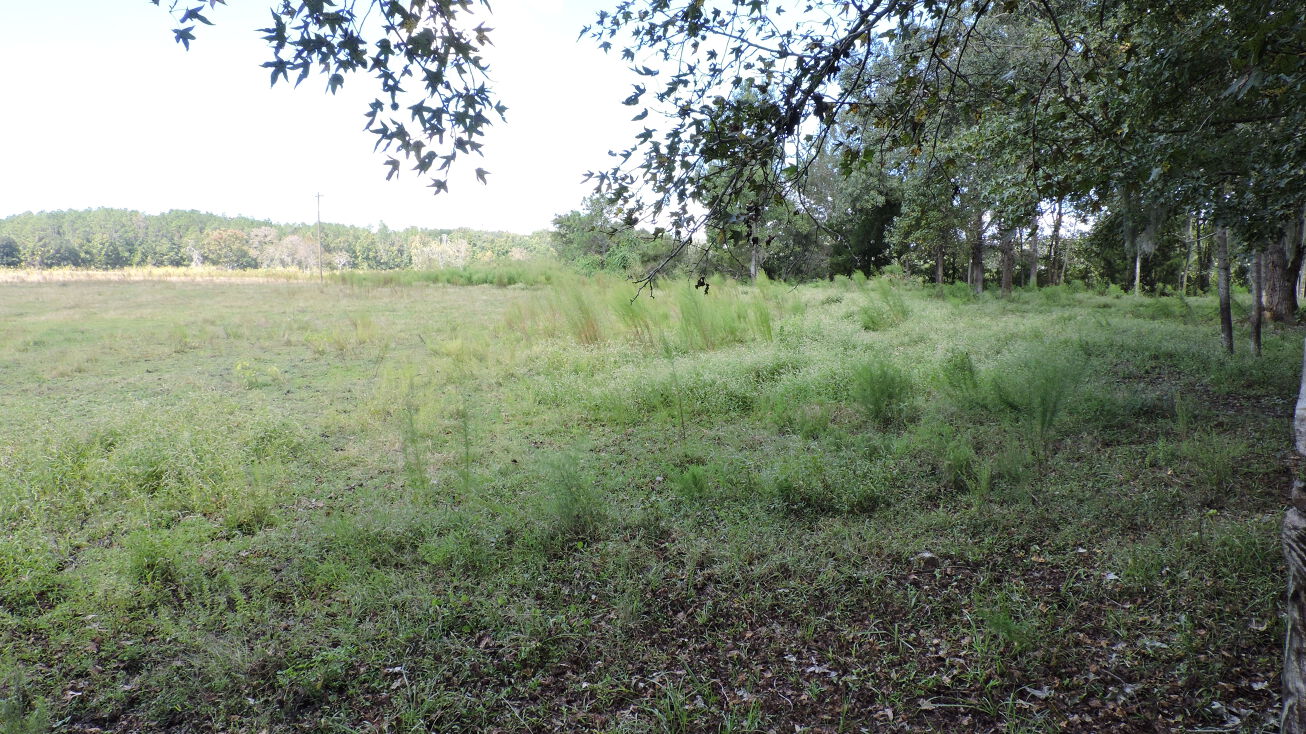 1010 Hwy 17, Palatka, FL 32177