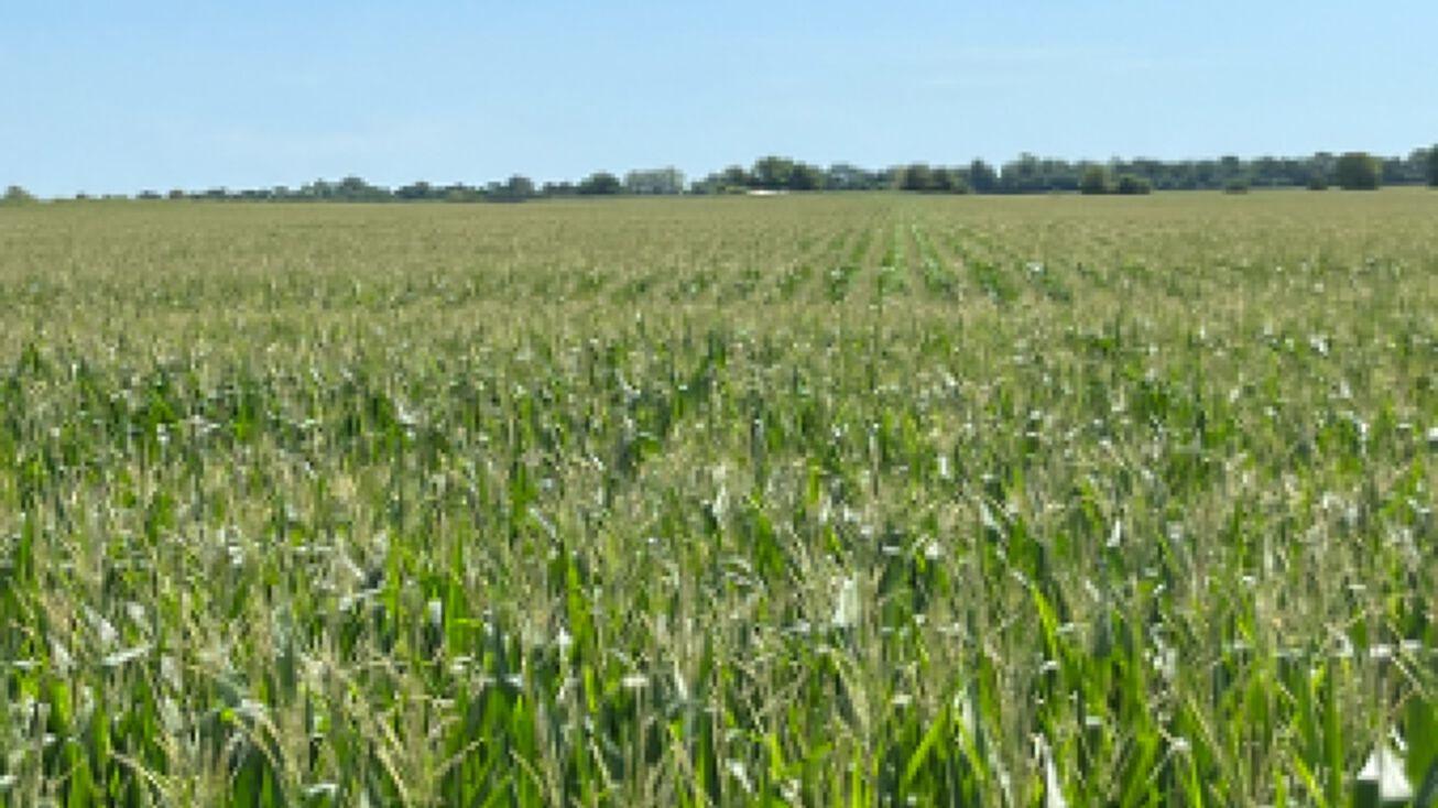 S 350 W, Romney, IN 47981