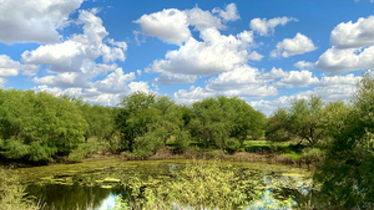 2425 County Road 245, Floresville, TX 78114 Land for Sale 2425