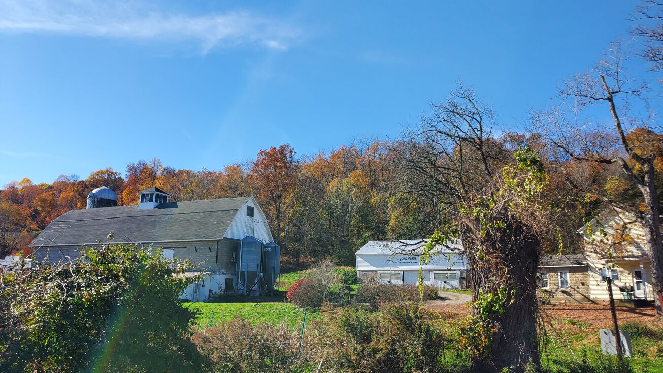 197 Pine Hill Rd, Westtown, NY 10998