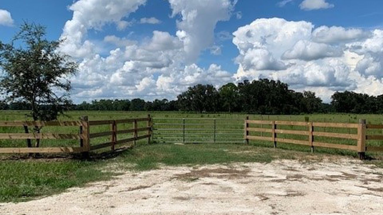 County Rd 728, Center Hill, FL 33514 Land for Sale 469 Property