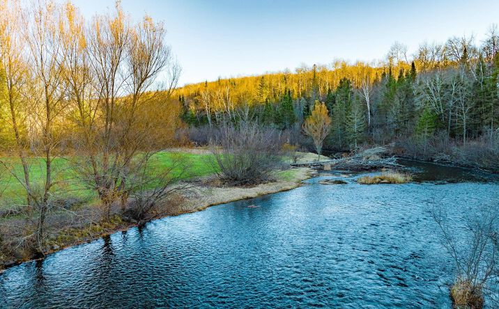 Pictures of Land property located at TBD Fox Dr, Iron River,, Iron River, MI 49935 for sales - image #1