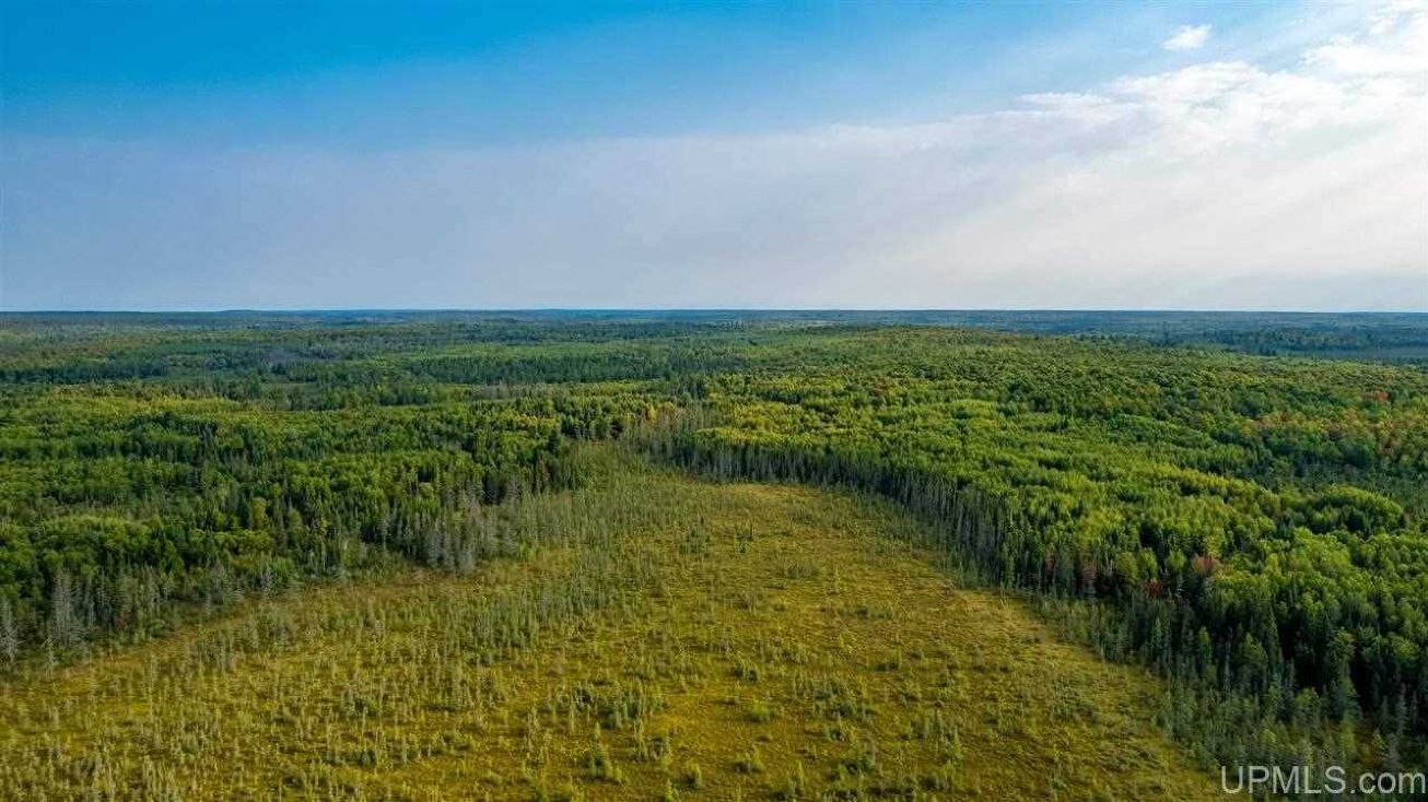 TBD Wests Rd Hematite Twp (36008), Crystal Falls, MI 49920