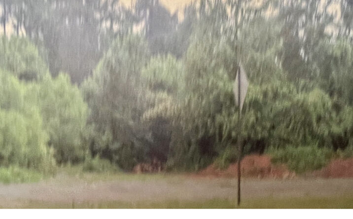 Pictures of Land property located at Lawrenceville Hwy, Lilburn, GA 30047 for sales - image #1