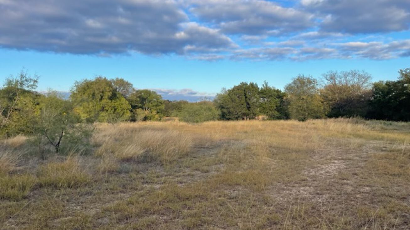 1290 TX174, TX 76671