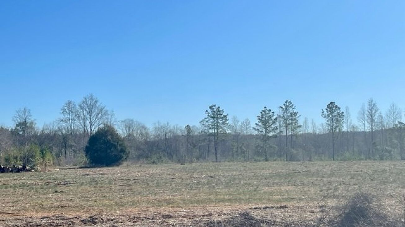 Co Rd 30, Luverne, AL 36049