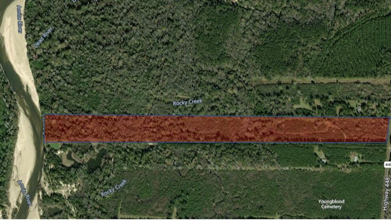 Pictures of Land property located at Hwy 448, Greensburg, LA 70441 for sales - image #1