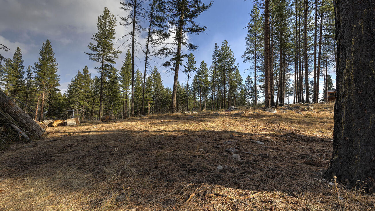 783 Moraine Drive, Hamilton, MT 59840 Land for Sale 783 Moraine Drive