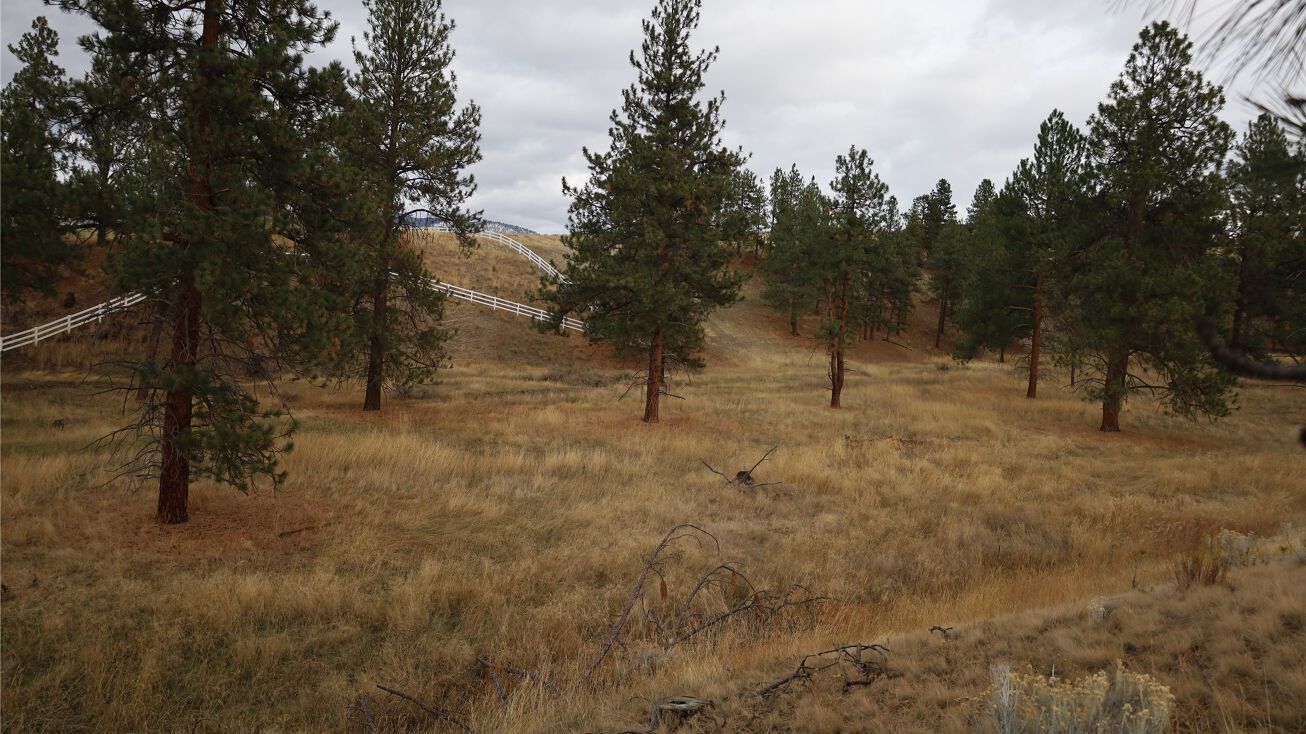 19 Gunshy Ridge, Florence, MT 59833