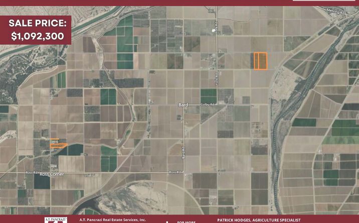 Pictures of Land property located at Medjool Date Trees, Bard Valley, CA 92283 for sales - image #1