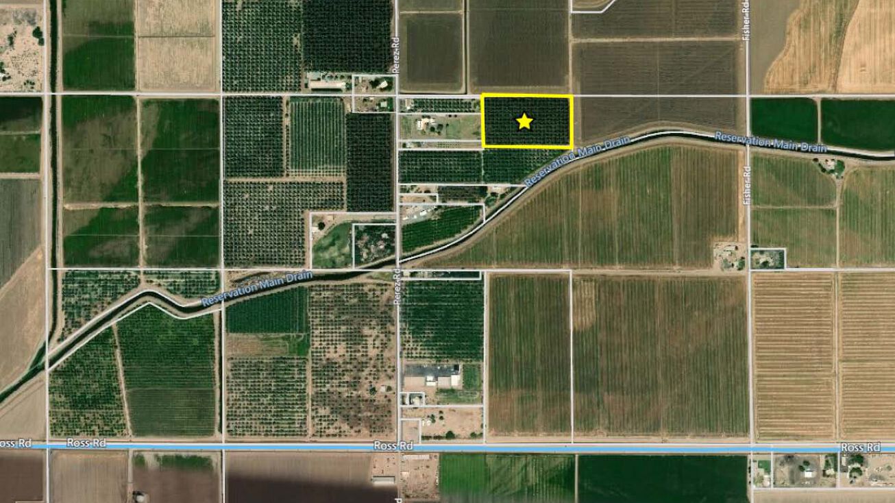 Medjool Date Trees, Barstow, CA 92283 Land for Sale Medjool Date Trees