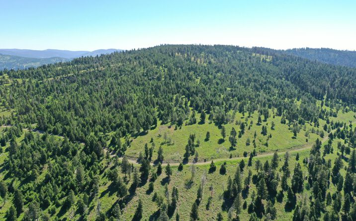Pictures of Land property located at 14 Tract, Drummond, MT 59832 for sales - image #1