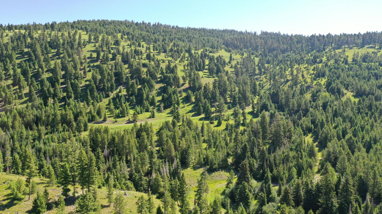 6 Tract, Drummond, MT 59825