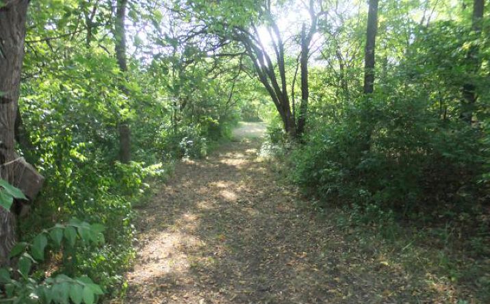 Pictures of Land property located at Ferguson Road, Ozawkie, KS 66070 for sales - image #1