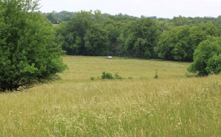 image of property at 0 W 351ST ST Louisburg KS 66053