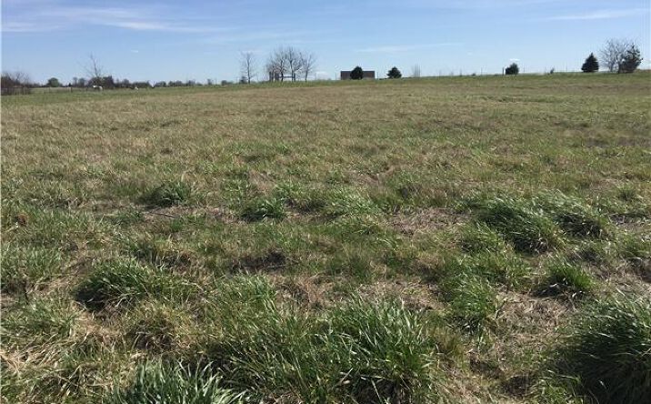 image of property at 7003 NE 134TH ST Smithville MO 64089-7816