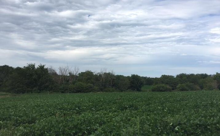 image of property at COUNTY LINE ROAD Smithville MO 64089