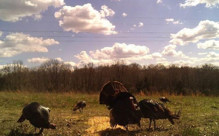image of property at HWY 32 Stockton MO 65785