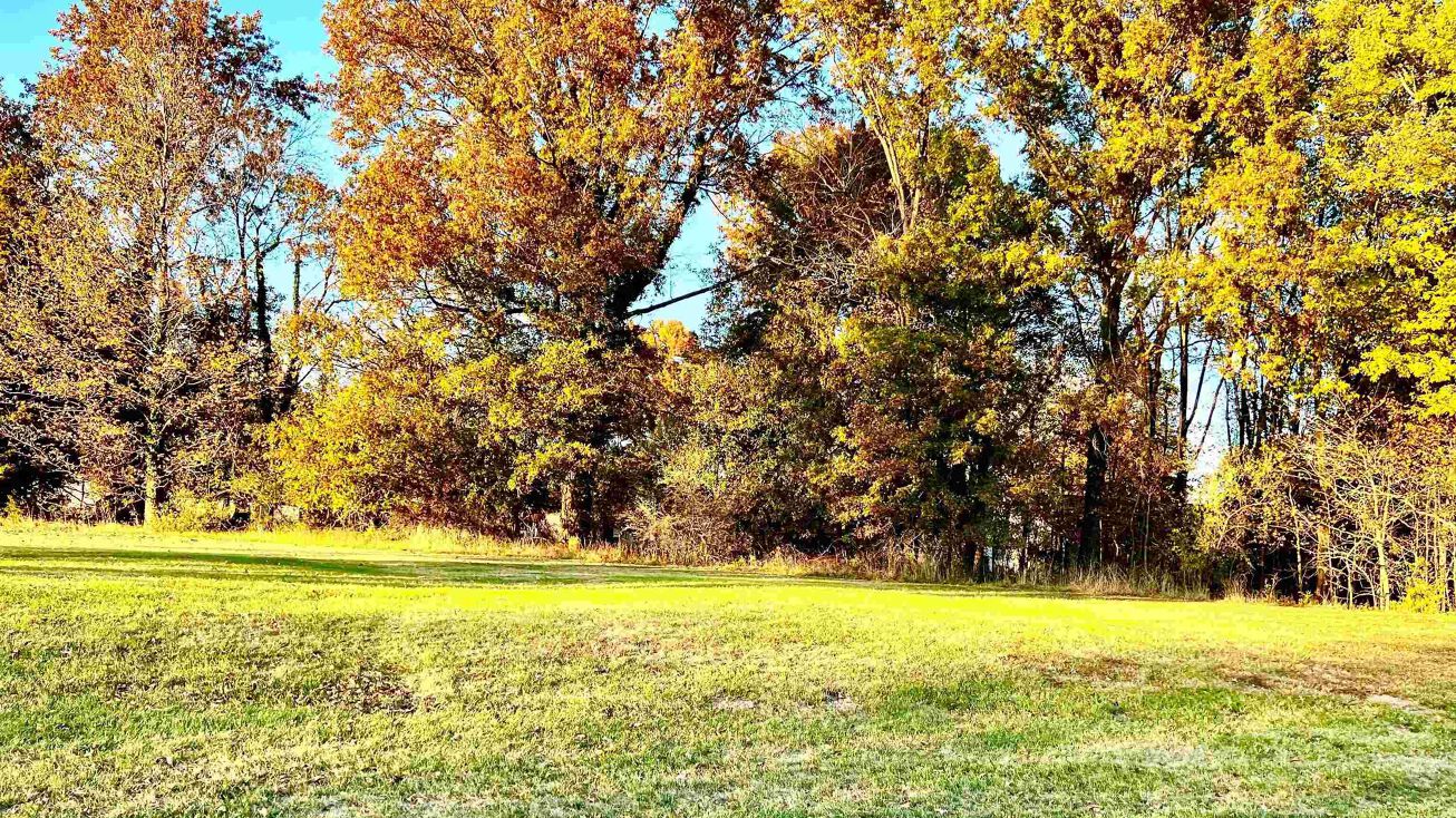 Pershing St, Energy, IL 62933