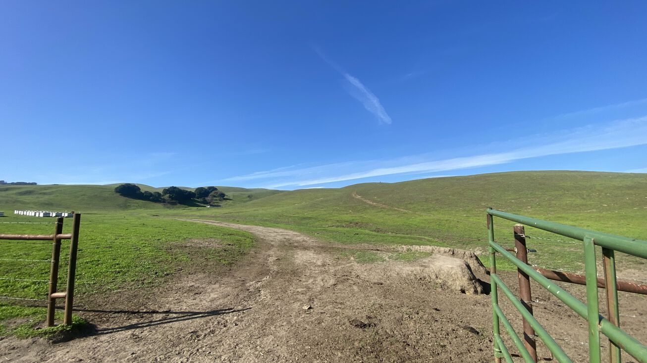 1633 Brookhollow Rd, Hollister, CA 95023