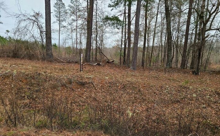 Pictures of Land property located at Willow Lake Rd, Fort Valley, GA 31030 for sales - image #1