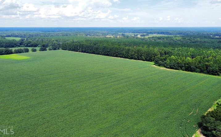 Pictures of Land property located at 599 Bunce Ln, Statesboro, GA 30458 for sales - image #1