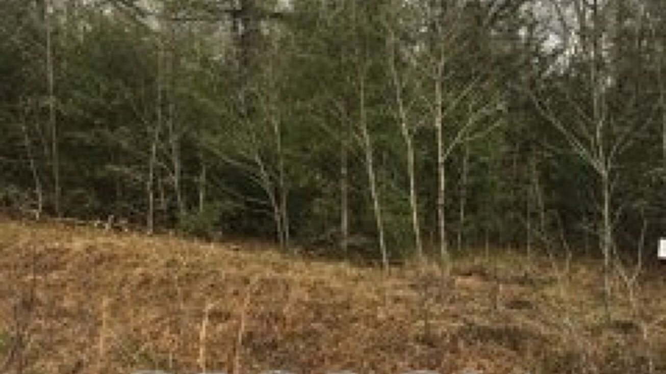 0 Southern, Metter, GA 30439