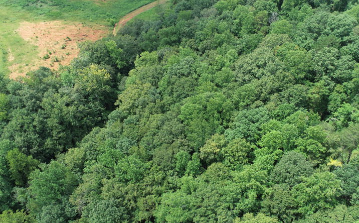 Pictures of Land property located at Hugh Champion Rd, Tryon, NC 28782 for sales - image #1