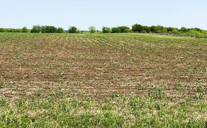 Pictures of Land property located at TBD Spring Valley Rd, Moody, TX 76557 for sales - image #1