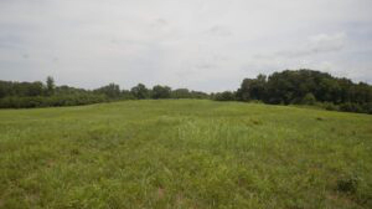 Marie Rd, Blacksburg, SC 29702