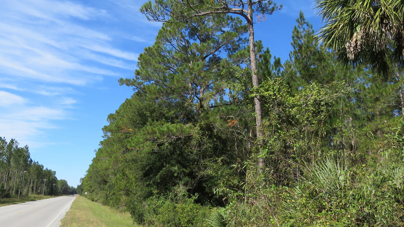Ft. McCoy Timber & Hunting, Fort McCoy, FL 32134 Land for Sale Ft. McCoy Timber & Hunting