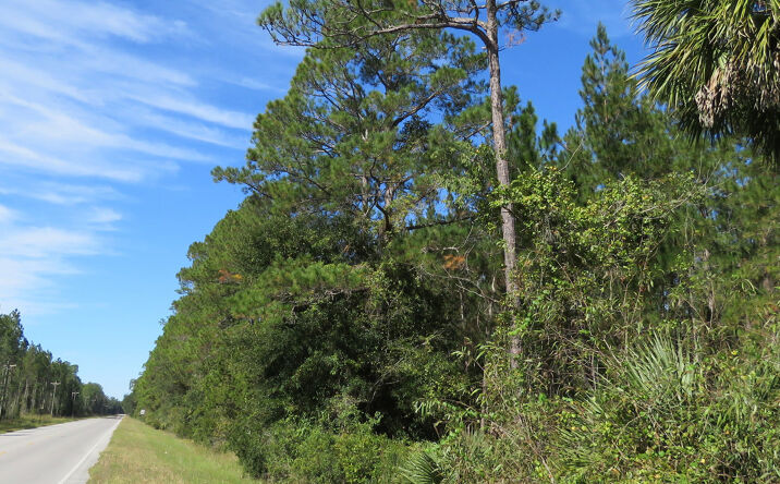 Ft McCoy Timber amp Hunting Fort - 82bdeab2b2934a2d9345870d5ffe6248 716x444