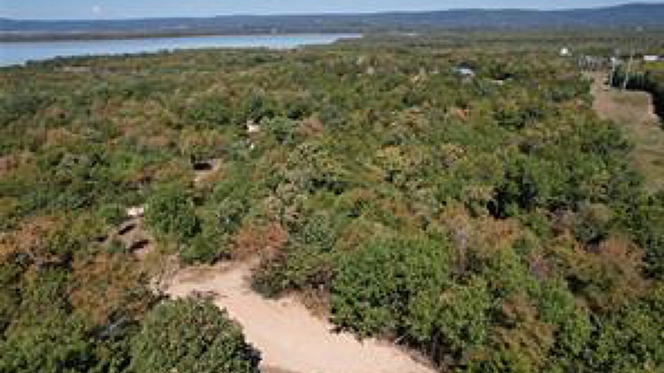 6 Sardis Acres Rd, Clayton, OK 74536, OK 74536